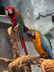 -Zoolung Zoolung动物主题公园(海信广场店)