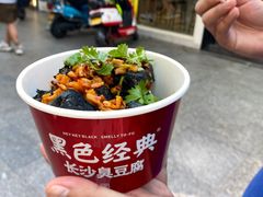 -黑色经典臭豆腐·湖南特产(步行街店)
