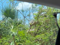 -海南热带野生动植物园