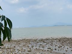 -深圳湾公园(南山区)