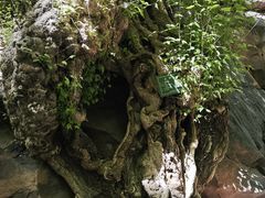 -苍岩山风景名胜区
