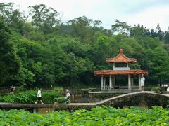 -深圳仙湖植物园