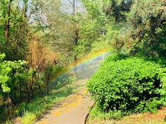 -长白岛森林公园