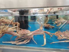 -盒马X会员店(上海森兰商都店)