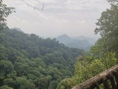-青城山