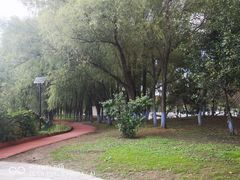-黛秀湖公园