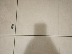 -大商麦凯乐(大连总店)