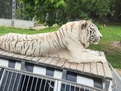 -上海野生动物园