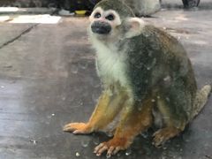 -西安秦岭野生动物园