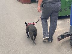 -伊隆斋(什刹海店)