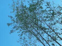 -新竹里馆·花园餐厅(兴苑路店)