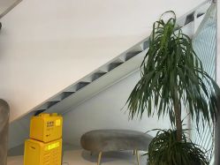 -I+造型烫发染发