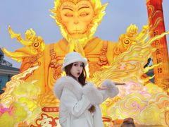 -海合安成都极地海洋公园