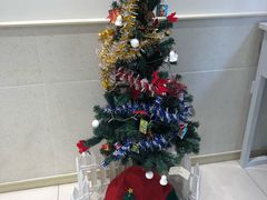 -台盖(群星城店)