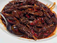 -三强鸽子(胜利路店)