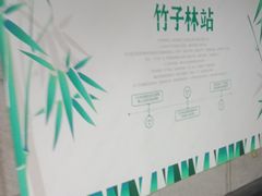 -竹子林(地铁站)