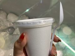 -洪馨椰子