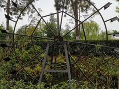 -合肥滨湖国家森林公园