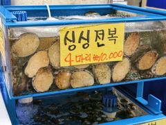 -西归浦每天偶来市场
