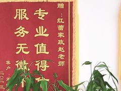 -红蕾家政·保姆·育儿嫂·钟点工