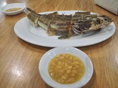 -长平肥姐白粥·海鲜打冷