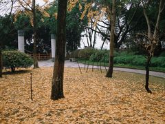 -大渡口区义渡公园