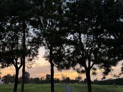 -汉长安城未央宫国家考古遗址公园