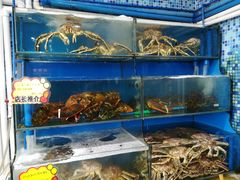 水产区-蚝专家(北滘店)
