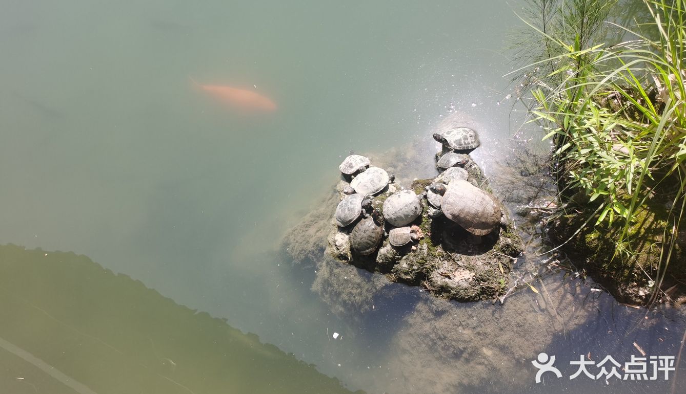 图片中的可能很多游客没有到的绿色的公园