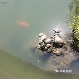 图片中的可能很多游客没有到的绿色的公园