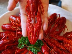 -沪小胖小龙虾(淮海中路旗舰店)