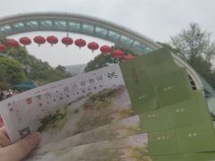 -南山植物园