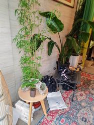 -威思丽高温瑜伽会馆