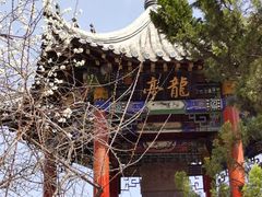 -桃花堤公园