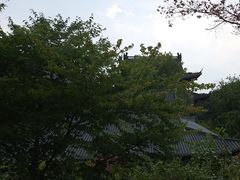 -大伊山景区