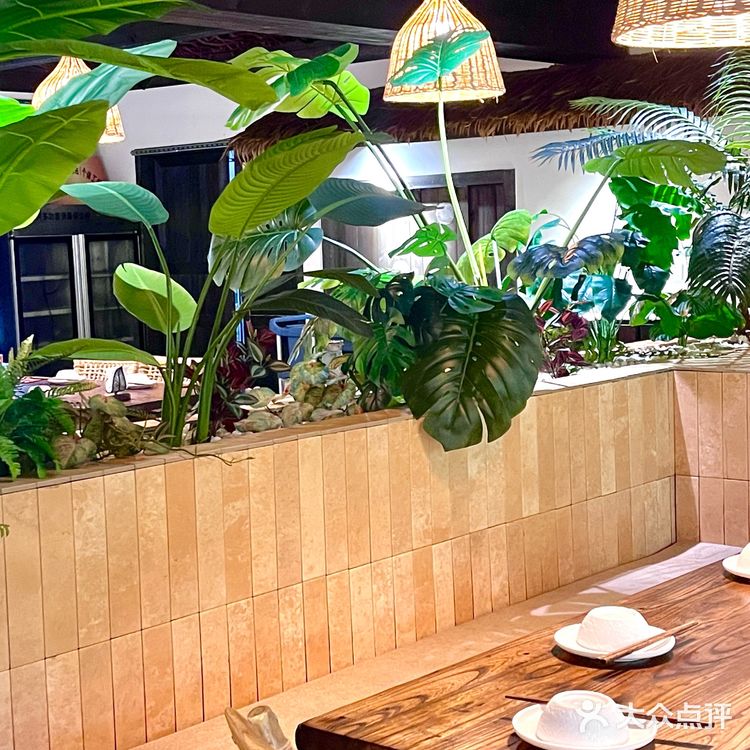 🌴l西双版纳🍃一秒穿越热带雨林
