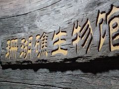 -杭州海底世界