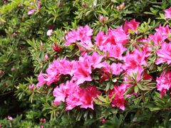 -宜兴龙背山森林公园