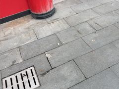 -潮牛海记•潮汕牛肉火锅•醉鸡煲•粿条汤(通北路店)