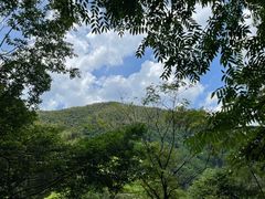 -藏龙百瀑风景区