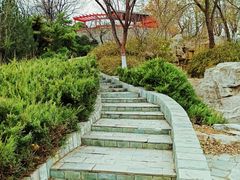 -滨河世纪广场公园