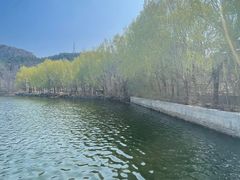 -金龙寺国家森林公园