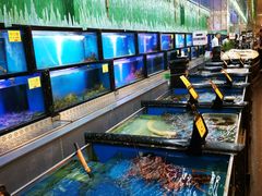 水产区-万宝海鲜舫(劳动公园店)