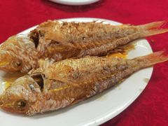 -蛇口康乐快餐鱼仔档(翠苑小区店)