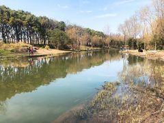 -新江湾城公园