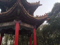 -咸阳湖景区-古渡公园
