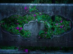 -扬州大运河文化旅游度假区·盆景园