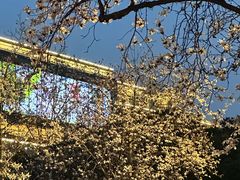 -宜家家居(高新商场店)