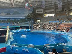 -海合安成都极地海洋公园