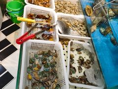 -潮庭·大连海鲜·炭火烧烤·扇贝王(大连店)